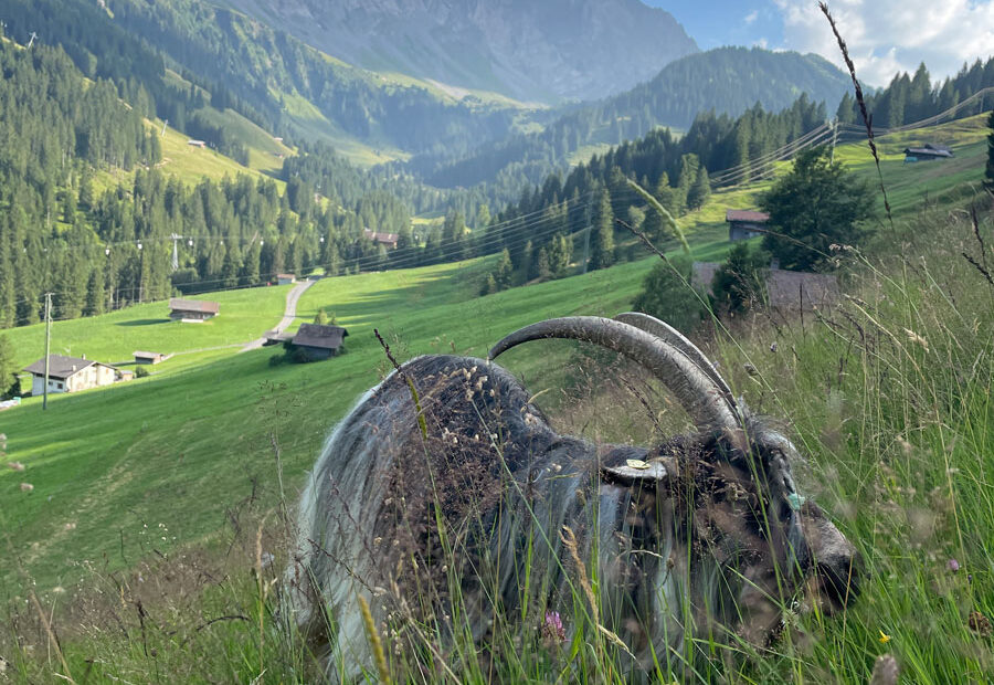 Weidhaus Urlaub Berge Adelboden Ferien offline Natur Alphütte off grid Zottelgeiss 17
